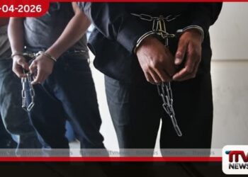 නීතිවිරෝධීව මුහුදු කූඩැල්ලන් ඇල්ලූ  හයදෙනෙකු  නාවික හමුදා අත්අඩංගුවට