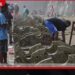 හයිටි රාජ්‍යයේ දින තුනක  ජාතික ශෝක කාලයක්  ප්‍රකාශයට පත් කෙරේ