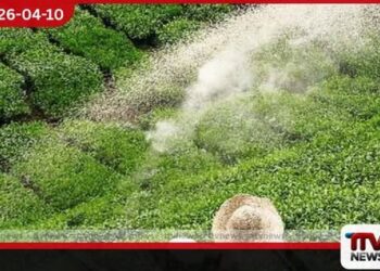 තේ පොහොර බෙදාහැරීමේ  QR ක්‍රමවේදය සාර්ථක වෙයි