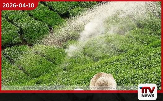 තේ පොහොර බෙදාහැරීමේ QR ක්රමවේදය සාර්ථක වෙයි