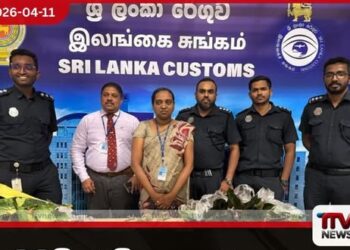 නීතිවිරෝධී ලෙස රැගෙන ආ  විසිතුරු පැළ තොගයක් සමඟ  ව්‍යාපාරිකයෙකු රේගු භාරයට