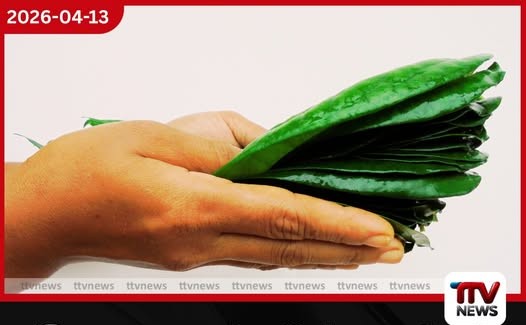 සිංහල අලුත් අවුරුදු සමයේ බුලත් අතක මිල රු.700 දක්වා ඉහළට