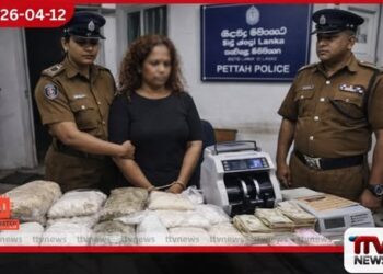 පිටකොටුව පොලිසියෙන් දැවැන්ත කුඩු වැටලීමක්