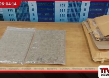 රුපියල් කෝටි දෙකකට අධික කුෂ් මත්ද්රව්ය සමඟ ඉන්දීය ජාතිකයෙක් කටුනායකදී අත්අඩංගුවට