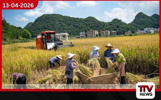 ලෝකය ස්මාර්ට් වෙද්දී අපේ ගොවිතැන කොතැනද චීනයේ වසන්ත වගාව