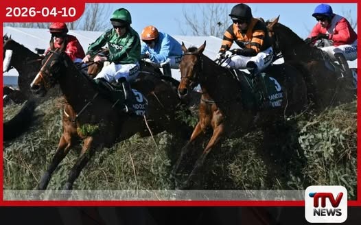 ග්රෑන්ඩ් නැෂනල් ජයග්රාහකයා හඳුනා ගැනීමට සංඛ්යාලේඛන උදව් කරගත හැකිද?