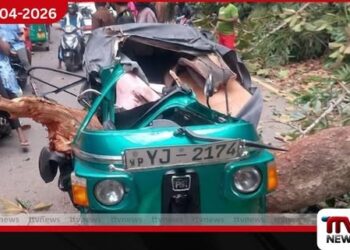 ධාවනය වූ ත්රිරෝද රථයට ගසක අත්තක් කඩා වැටී හෙද නිලධාරියෙකු මරුට