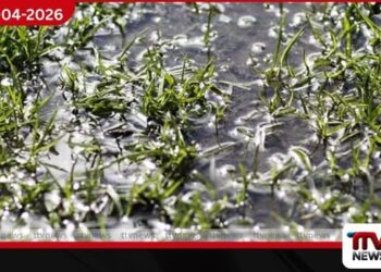 මීගොඩ උඩගෙවත්ත පාරේ  ජල නළයක් පුපුරා සතියක් තිස්සේ ජලය අපතේ යයි