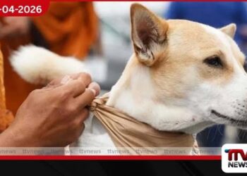 ශ්‍රී ලංකාවට එන ආලෝකාට  ගුවන් යානයේ විශේෂ මගී අසුනක් සාම පා ගමනට නව ජවයක්