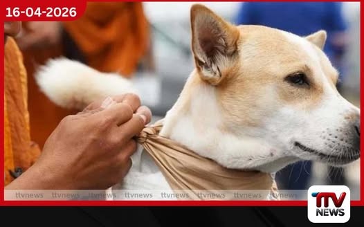 ශ්රී ලංකාවට එන ආලෝකාට ගුවන් යානයේ විශේෂ මගී අසුනක් සාම පා ගමනට නව ජවයක්