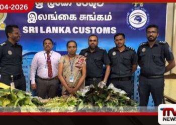 විදේශ රටක සිට නීතිවිරෝධී ලෙස රැගෙන ආ රුපියල් ලක්ෂ අටකට ආසන්න  විසිතුරු පැළ තොගයක්  කටුනායකදී රේගු අත්අඩංගුවට ගනියි