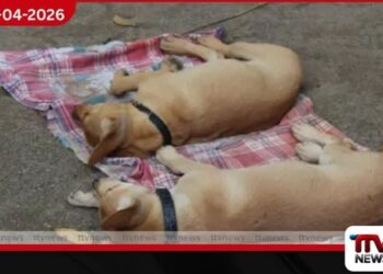 ආලෝක ගැන රටම කතා කරද්දී  කළාවැවේ වූ ඛේදවාචකය