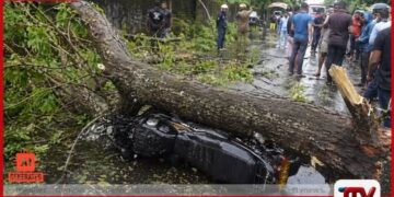 යතුරුපැදියක් මතට ගසක් කඩා වැටීමෙන් අවාසනාවන්ත අනතුරක්