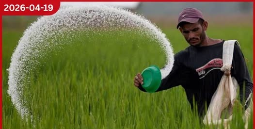 යූරියා පොහොර මිල  ශීඝ්‍රයෙන් ඉහළ යයි