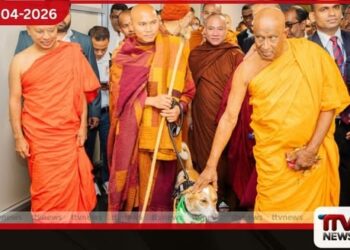 සාම පා ගමන සඳහා  වියට්නාම භික්ෂූන් වහන්සේලා සහ  ආලෝක මෙරටට පැමිණෙයි