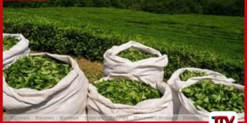 මැදපෙරදිග අර්බුදයෙන්  ශ්‍රී ලංකා තේ අපනයනයට  සතියකට ඩොලර් මිලියන 15ක පාඩුවක්