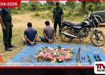 ගෝන මස් තොගයක් සහ  ගිනි අවියක් සමඟ  දෙදෙනෙක් වනජීවී නිලධාරීන්ගේ දැලට