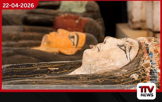 පුරාණ ඊජිප්තු මමියක් තුළ තිබී  හෝමර්ගේ ‘ඉලියඩ්’ (Iliad) කාව්‍යයේ  දුර්ලභ පිටපතක් හමුවේ