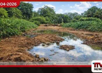 මිනිපේ ගොවි ජනපදයේ  වැව් රොන් මඩින් පිරී යයි