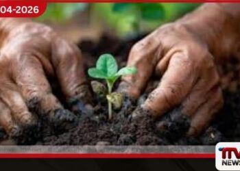 සිංහල සහ දෙමළ  අලුත් අවුරුදු පැළ සිටුවීමේ  නැකත අදයි