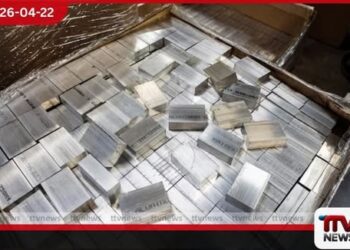 ඇලුමිනියම් වෙළඳපොළට Black Swan බලපෑමක්