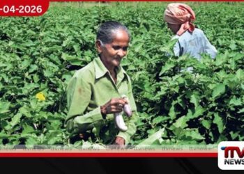 ඉන්ධන මිල ඉහළ යෑමෙන්  එළවළු ගොවියෝ දැඩි අර්බුදයක