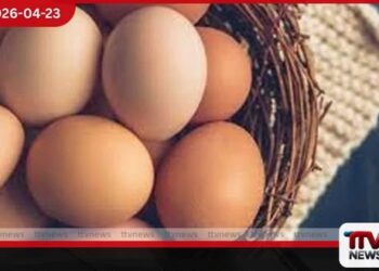 අලුත් අවුරුදු නිවාඩුව  හේතුවෙන් බිත්තර මිල  තාවකාලිකව