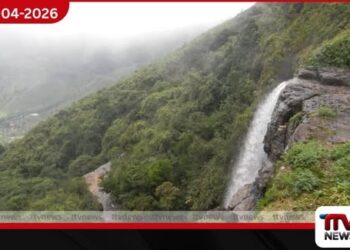 නකල්ස් වනාන්තරයේ  ජල ධාරා සහ දිය ඇලි සිඳී යයි