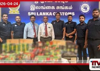 කටුනායක ගුවන්තොටුපොළේ ආරක්ෂක දැල් අතරින්  රහසේම එළියට පැනීමට උත්සාහ කළ  අමුත්තන් දෙදෙනාට  අද අලුයම අත්වූ ඉරණම