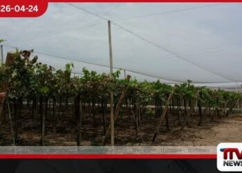 රජයේ ඉඩම් වගාව සඳහා  බදු දීමේ ක්‍රියාවලිය යාවත්කාලීන  කිරීමට රජයේ අවධානය