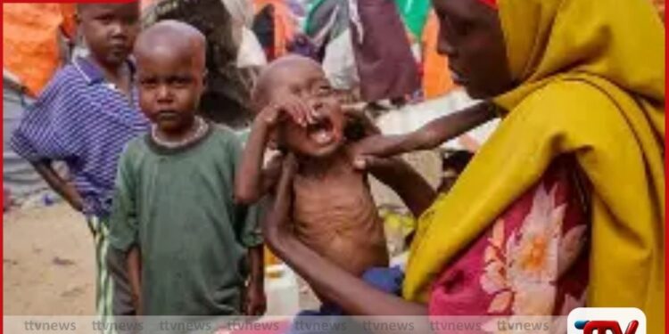 ලෝකයම කම්පා කළ  මනුෂ්‍යත්වයේ ඛේදවාචකය මිලියන 6කගේ ජීවිත අබියස  නපුරු හීනයක් සැබෑ වෙයි