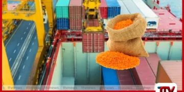 පරිප්පු කන්ටේනර් 10යේ වංචාව ගැන  සවිස්තරාත්මක වාර්තාවක් ලබා දෙන්න