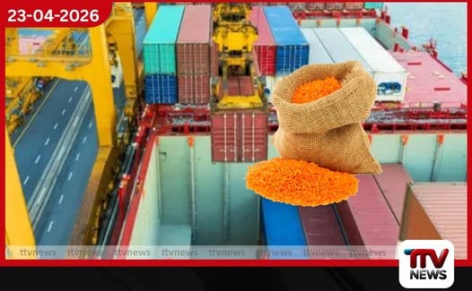 පරිප්පු කන්ටේනර් 10යේ වංචාව ගැන  සවිස්තරාත්මක වාර්තාවක් ලබා දෙන්න