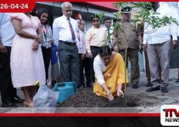 කොළඹ මහ නගර සභාවෙන්  සිංහල සහ දෙමළ  අලුත් අවුරුද්ද වෙනුවෙන්  පැළ සිටුවීමේ වැඩසටහනක්