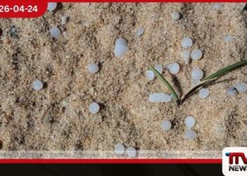 එල්සා 3  නෞකාවේ ප්ලාස්ටික් පබළු ඉවත් කිරීමේ  මෙහෙයුම් දිවයිනේ වෙරළ තීරය  පුරා ව්‍යාප්ත කෙරේ