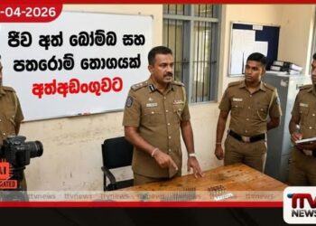 ජීව අත්බෝම්බයක් සහ  පතොරොම් තොගයක් සමඟ  හිටපු සෙබළෙකු අත්අඩංගුවට