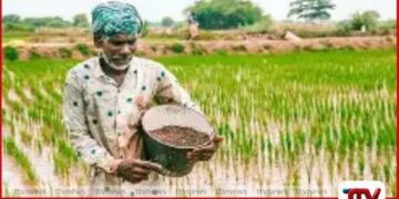 ගොවි ජනතාවට  රජයෙන් ලැබුණු විශේෂ සහනයක්