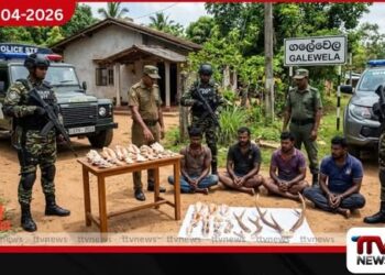 ගලේවෙලදී මුහුදු බෙල්ලන් සහ  මුව අං සමඟ  පුද්ගලයින් සිව්දෙනෙකු STF දැලට