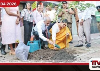 අලුත් අවුරුදු නැකතට  කොළඹ මහනගර සභාවෙන්  රුක් රෝපණ වැඩසටහනක්