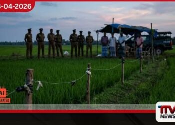 අනවසර විදුලි රැහැනක පැටලී  ගොවියෙකු ජීවිතක්ෂයට