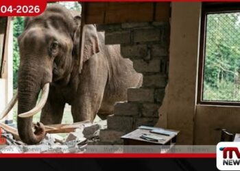 වන අලි කල්ලියක්  කන්තලේ සීනිපුර බණ්ඩාරනායක විදුහලට  කඩා වැදී දැඩි හානි සිදු කරයි