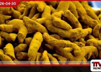 පාලවියේදී  නීති විරෝධී කහ කිලෝ 994ක්  අල්ලයි