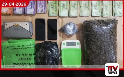 බට්ටි අක්කා නමැති  මහා පරිමාණ ගංජා ජාවාරම්කාරිය  විශේෂ කාර්ය බලකායේ දැලට