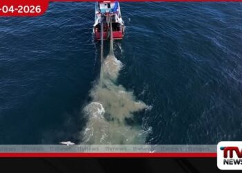 යුරෝපයට බිලියන ගණනක  පාඩුවක් කරන ‘බෝටම් ට්‍රෝලින්’ තහනමට  තුර්කියෙන් සාර්ථක විසඳුමක්