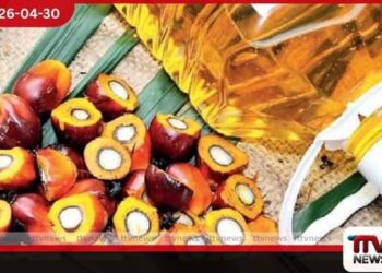 වගා තහනම නිසා  පාම් තෙල් ආනයනයට  රුපියල් මිලියන 140,022ක්  වැය වෙයි