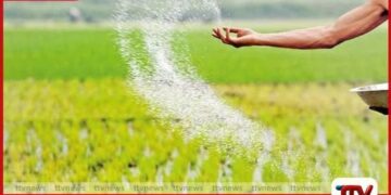 මෙවර යල කන්නයේදී  කිසිදු පොහොර හිඟයක්  ඇති නොවන බවට  කෘෂිකර්ම දෙපාර්තමේන්තුවෙන් සහතිකයක්