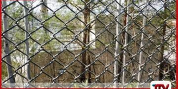 ජපානයේ සත්වෝද්‍යාන සේවකයෙකු  තම බිරිඳගේ සිරුර  සත්වෝද්‍යාන ආදාහනාගාරයක  පුළුස්සා දැමූ බව පිළිගනී