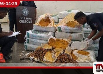 ජිප්සම් ප්ලාස්ටර් අස්සේ හැංගූ  රුපියල් කෝටි ගණනක කහ තොගයක් රේගු දැලේ