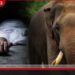 තමන්ගේම නිවස ඉදිරිපිටදී  එල්ල වූ මාරක ප්‍රහාරය  වෙල්ලාවලි ප්‍රදේශයෙන් ඇසෙන  සංවේදී පුවතක්