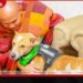 මම විශ්වාස කරනවා ආලෝකා කලින් ජීවිතයක භික්ෂුවක් කියලා
